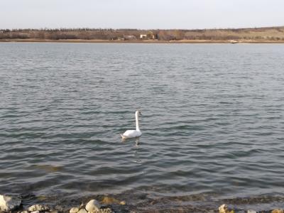 Прикрепленное изображение: IMG_20211107_151352.jpg